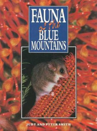 Fauna Of The Blue Mountains by Judy & Peter Smith