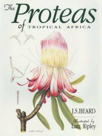 The Proteas Of Tropical Africa by John Stanley Beard