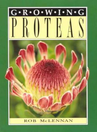 Growing Proteas by Rob McLennan