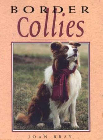 Border Collies by Joan Bray