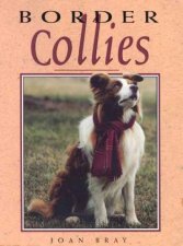 Border Collies