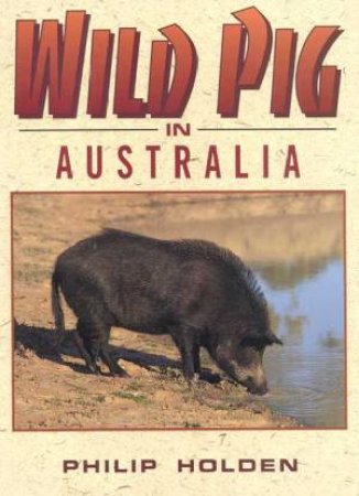 Wild Pig In Australia by Philip Holden