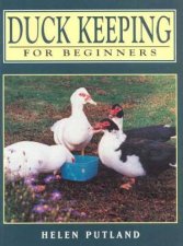 Duck Keeping For Beginners
