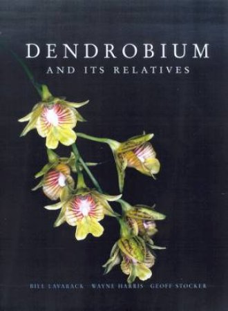 Dendrobium And Its Relatives by Bill Lavarack & Wayne Harris & Geoff Stocker