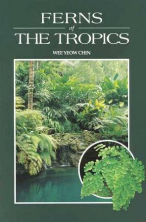 Ferns Of The Tropics by Wee Yeow Chin