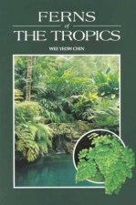 Ferns Of The Tropics