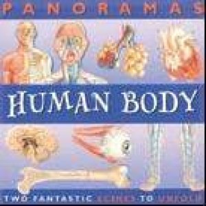 Panorama: Human Body by Unknown