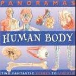 Panorama Human Body