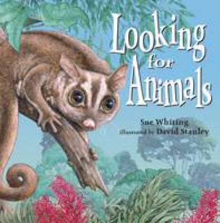 Looking For Animals by Sue Whiting