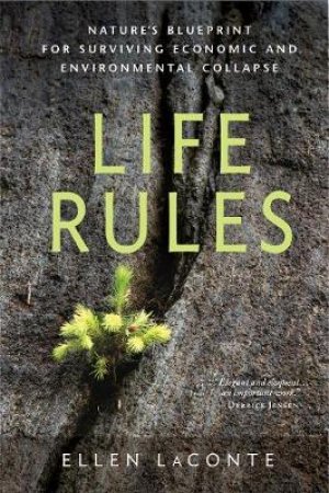 Life Rules by Ellen LaConte