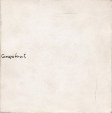 Grapefruit