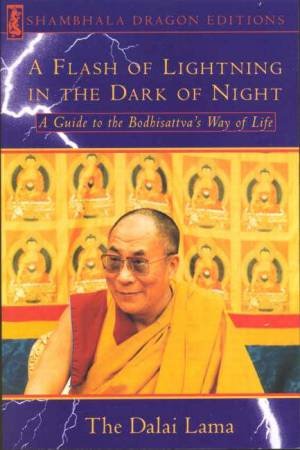 A Flash Of Lightning In The Dark Of Night by The Dalai Lama