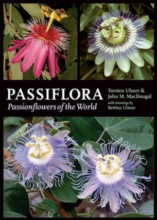 Passiflora by ULMER