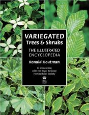 Variegated Trees and Shrubs