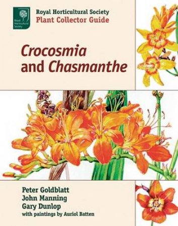 Crocosmia & Chasmanthe by GOLDBATT