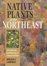 Native Plants of the Northeast