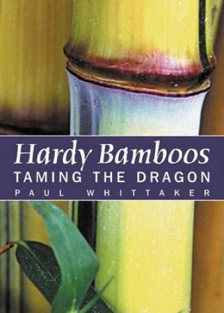 Hardy Bamboos by WHITTAKER