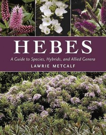 Hebes by METCALF