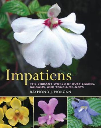 Impatiens by RAYMOND MORGAN