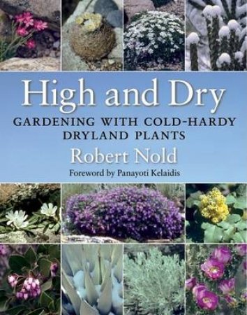 High and Dry by NOLD