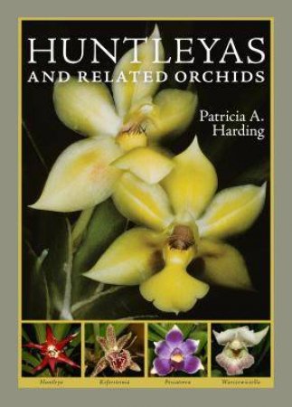 Huntleyas and Related Orchids by PATRICIA A. HARDING