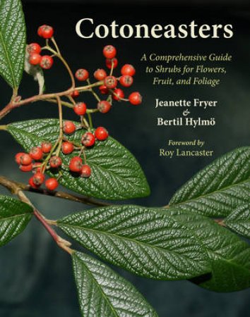 Cotoneasters by FRYER