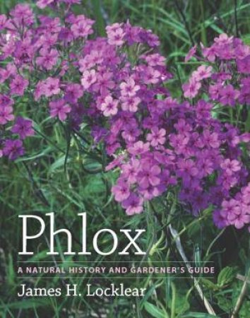 Phlox by JAMES H. LOCKLEAR