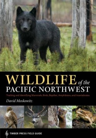 Wildlife of the Pacific Northwest by DAVID MOSKOWITZ