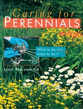 Caring for Perennials by JANET MACUNOVICH