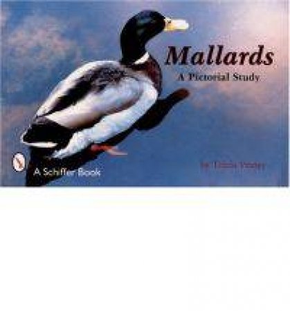 Mallards: A Pictorial Study by VEASEY TRICIA