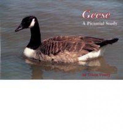 Geese: A Pictorial Study by VEASEY TRICIA