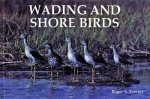 Wading and Shore Birds A Photographic Study