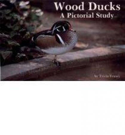 Wood Ducks: A Pictorial Study by VEASEY TRICIA