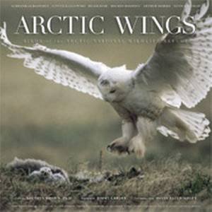 Arctic Wings (Bk/Cd) by Subnanker Banerjee