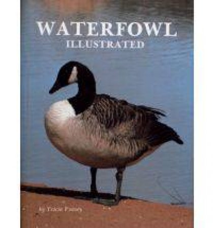 Waterfowl Illustrated by VEASEY TRICIA