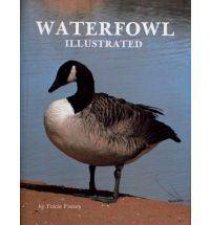 Waterfowl Illustrated