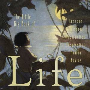 The Little Big Book Of Life by Natasha Tabori Fried