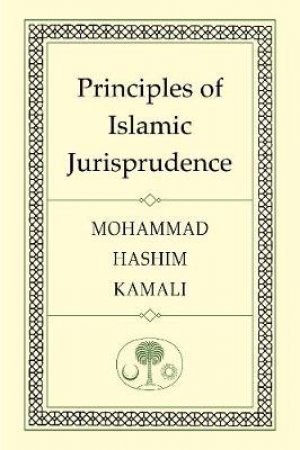 Principles of Islamic Jurisprudence by Mohammad Hashim Kamali