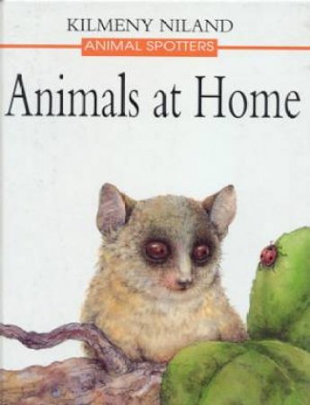 Animals At Home by Kilmeny Niland