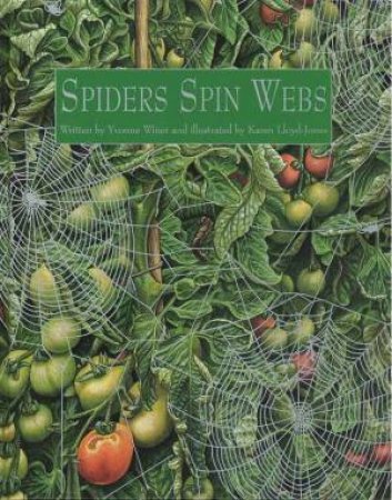 Spiders Spin Webs by Yvonne Winer