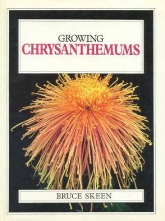 Growing Chysanthemums by Bruce Skeen