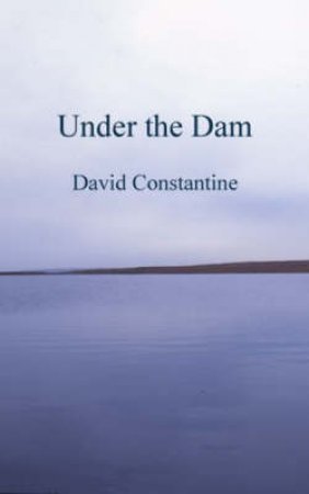 Under the Dam by David Constantine