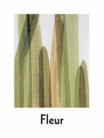 Fleur:Plant Portraits by Olby F &