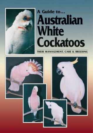 Australian White Cockatoos by Chris Hunt