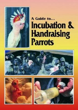 Incubation and Handraising Parrots by Phil Digney