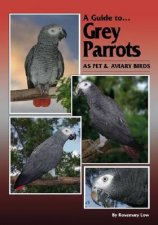 Grey Parrots as Pets and Aviary Birds