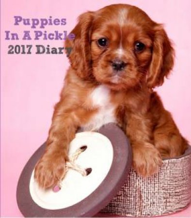 Puppies In A Pickle 2017 Diary by Various