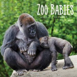 Zoo Babies 2017 Calendar by Various