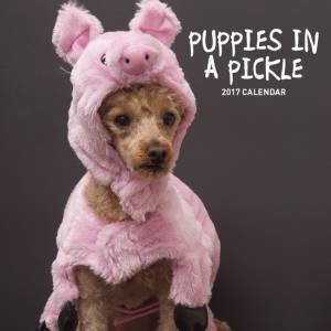 Puppies in a Pickle 2017 Calendar by Various