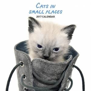 Cats in Small Places 2017 Calendar by Various